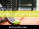 Turboslot canlı bahis alanında üstün başarı ortaya koymaktadır.